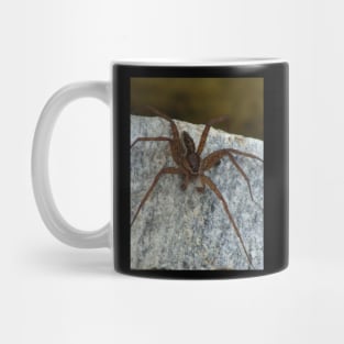 Cool Big Spider Photo Mug
